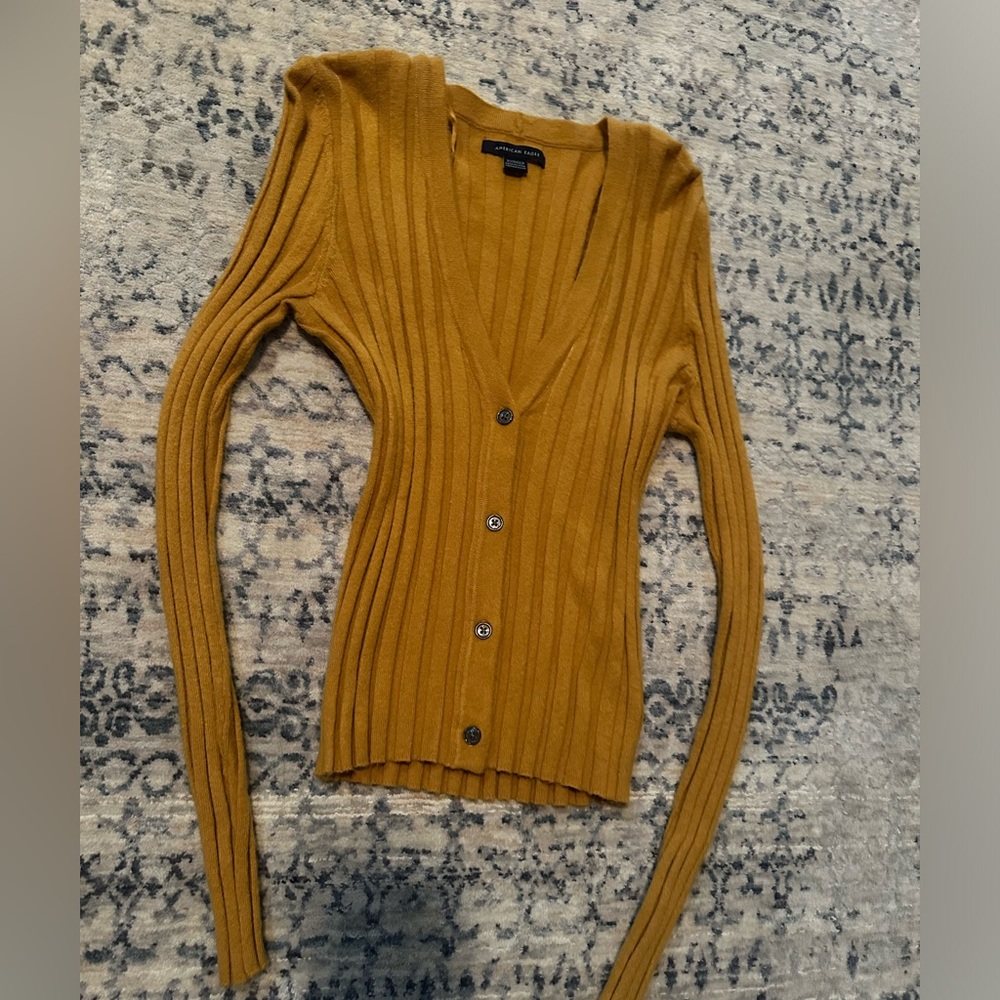 American Eagle Cardigan